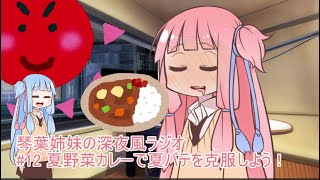 琴葉姉妹の深夜風ラジオ/#12 「夏野菜カレーで夏バテを克服しよう！」