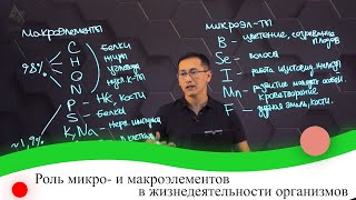 Роль микро- и макроэлементов в жизнедеятельности организмов. 7 класс.