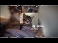 Clouds of joyfulness (غيوم الفرح) || Muhammad al muqit (sped up + reverb) Arabic nasheed