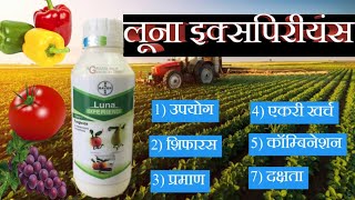 लूना एक्सपिरीयंस फंगिसाईड | भूरी रोग नियंत्रण | luna experience fungicide.