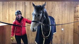 The Madden Method - Cooling Out an Unclipped Horse