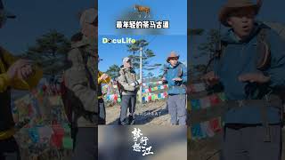 怒族孔雀山上长度两公里的茶马古道在悬崖峭壁上开凿，它曾经是马帮由滇入藏的必经险路，也是雾里村村民走向大山之外的唯一通道《梦行怒江》【DocuLife-SMG纪实人文官方频道】