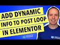 Elementor Post Loop With Dynamic Content From ACF (Advanced Custom Fields)