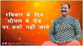 रविवार के दिन पीपल के पेड़ पर क्यों नहीं जाते ? Pujya Pandit Pardeep Ji Mishra - श्रीमद भागवत कथा