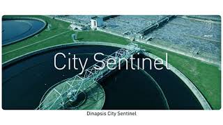 Dinapsis  - City Sentinel / Alerta temprana epidemiológica