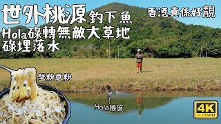 世外桃源 釣下魚｜Hola碌轉無敵大草地碌埋落水｜蟹粉意粉｜香港真係好靚 4K