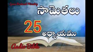 సామెతలు 25వ అధ్యాయము#Book of Proverbs #Chapter 25#Telugu Audio bible with verces