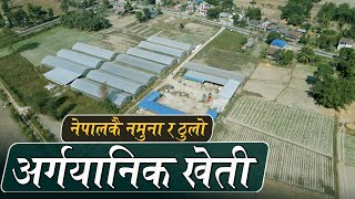 बिशाल क्षेत्रफलमा फैलिएको नेपालकै नमुना अर्ग्यानिक कृषि फर्म | Organic Farming in Nepal | Wave nepal