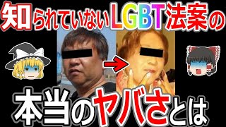 【ゆっくり解説】知られていないLGBT法案の本当のヤバさとは！日本を〇〇至上主義の国にする？