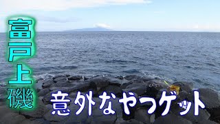 【東伊豆】富戸上磯の大根・中山でフカセ釣り　メジナを狙ったら意外な魚が…