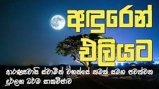 අඳුරෙන් එලියට | ආරණ්‍යවාසි ස්වාමින් වහන්සේ නමක් සමග පවත්වන දුර්ලභ ධර්ම සාකච්ඡාව