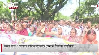 বকেয়া বেতন ও বোনাসের দাবিতে আন্দোলনে নেমেছেন সিলেটের চা শ্রমিকরা