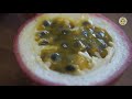 passion fruit in pot from flower to fruit