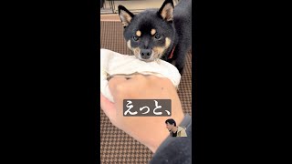 実は僕、犬なんですよね（ひろゆきメーカー）