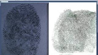 Basic AFIS Search - The Basics