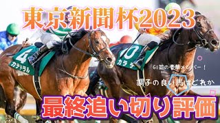 東京新聞杯2023 最終追い切り評価