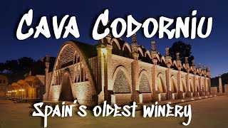 Spain's Cava Codorniu || INCREDIBLE Winery and Historial Cellars (And A Perfect Wedding Venue)