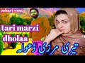 Tari marzi dhola new pahari dukhi song 2023 Gojri pahari song Mahiya pahadi Gojri song new song