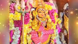 Sri Mukkalathi Amman santhana kappu alangaram