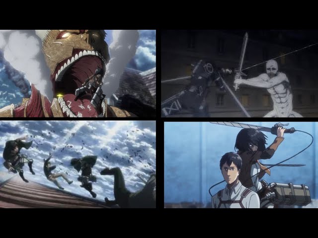 Mikasa Fighting