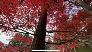 龍穩寺