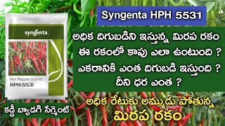 syngenta 5531 hybrid mirchi verity #syngenta5531 #mirchi5531 #hph5531 #mirchiseeds