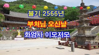 불기 2566년 부처님 오신날 화엄사 이모저모 (2022년 5월 8일)