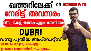 വന്നു നേരിട്ട് കമ്പനി ഒഴിവുകൾ|New job updates 2022|Dubai job 2022|Qatar jobs|Abroad jobs|New jobs