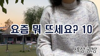 ep.10 뜨개로그  / FO: Paloma 풀오버 / 52주의 뜨개양말 앨리스 덧신  / alicja