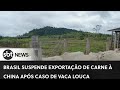 Brasil suspende exportação de carne à China após caso de vaca louca | #SBTNewsnaTV (23/02/23)