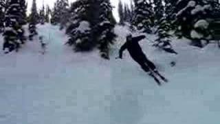 Some Classy Tree Skiing