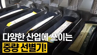 [핫클립] 세계 최초로 개발한 스틱 개별 중량 선별기 / YTN 사이언스