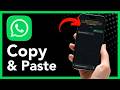 How To Copy And Paste Text And Images On WhatsApp - Full Guide (2026)