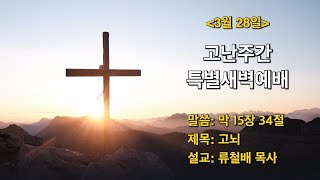 [고난주간 특별새벽기도회(목)] 고뇌 | 보배로운교회 (24.03.28)