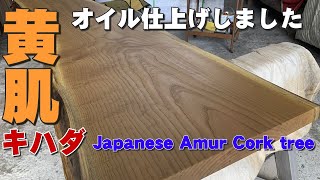 【岩手県産キハダ】キハダ一枚板×オイル塗装【木の店さんもく】How To Apply Oil Stain Finish To Amur Cork tree