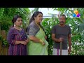 surabhiyum suhasiniyum│flowers│ep 235