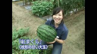 【野菜】「楽しい家庭菜園」スイカ ①定植終了までの管理