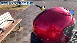 ついに納車!!待ちに待ったハンターカブCT125