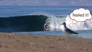 How I Filmed Surfing with Seagulls in the Frame