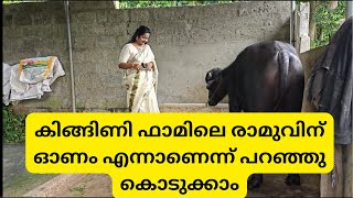 കിങ്ങിണി ഫാമിലെ രാമുവിന് ഓണം എന്നാണെന്ന് പറഞ്ഞു കൊടുക്കാം