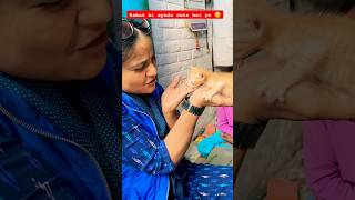 Ye sirf pyar samajhte hai❤️ #shorts #shortsfeed #humanity #love #yt #animal #kindness #viralvideo