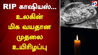 RIP காஷியஸ்... உலகின் மிக வயதான முதலை உயிரிழப்பு