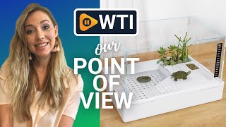 BETAZOOER Turtle Tanks | Our Point Of View