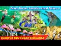 OCEAN DREAM SAMUDRA ANCOL TERBARU || REVIEW INFO TERLENGKAP WISATA JAKARTA UTARA