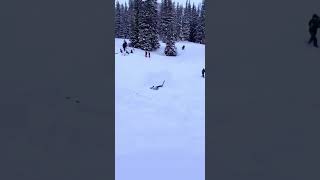 I don't think she wanted to do a backflip🫣 #snow #skimountain #skiing #ski #foryou #snowboarding