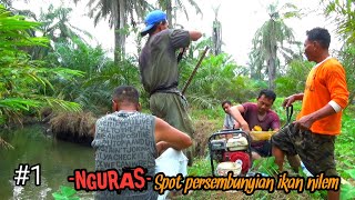 NGURAS SPOT PERSEMBUNYIAN IKAN NILEM