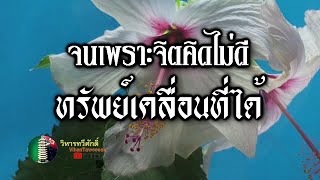 กฎแห่งกรรม  เรื่อง  จนเพราะจิตคิดไม่ดีทรัพย์เคลื่อนที่ได้