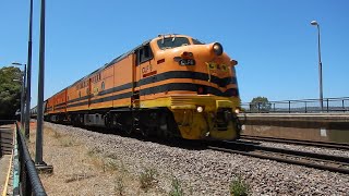 4152s at Parafield Gardens with Twin Bulldogs CLF6 \u0026 CLP17 - 16/11/2020