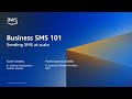 Business SMS 101: How to send SMS at scale