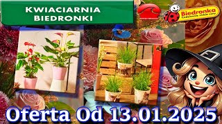 🐞 BIEDRONKA Kwiaciarnia Biedronki – Nowa Oferta Od 13.01.2025 Kwiatowe Inspiracje i Tanie Kwiaty 🌸